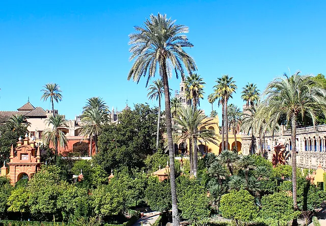 The Jardín de las Damas with tall palms and ochre and terracotta buildings
